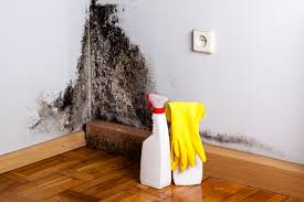 Best Black Mold Removal  in Sand Springs, OK